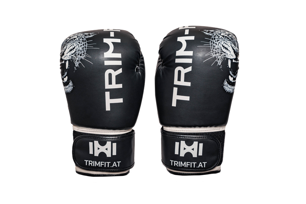Ringside Pro Fitness Boxhandschuhe – Kunstleder Metallic, Atmungsaktives Mesh, Klettverschluss