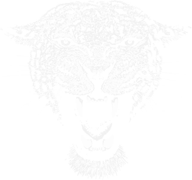 Schwarz-Weiß-Illustration eines knurrenden Leoparden, der seine Zähne und Fangzähne zeigt und nach vorne schaut.