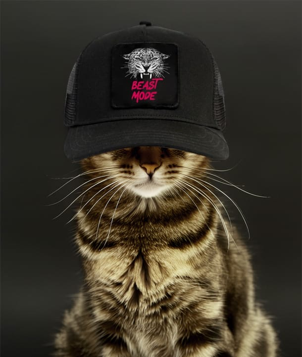 Getigerte Katze mit schwarzer Mütze mit BEAST MODE und Tigergrafik, die vor einem dunklen Hintergrund posiert.